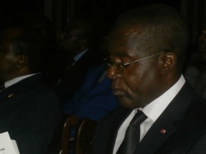 Samuel Fonkam Azu, Président Elecam