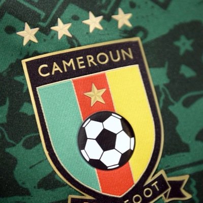 Fédération Camerounaise de Football (FECAFOOT)